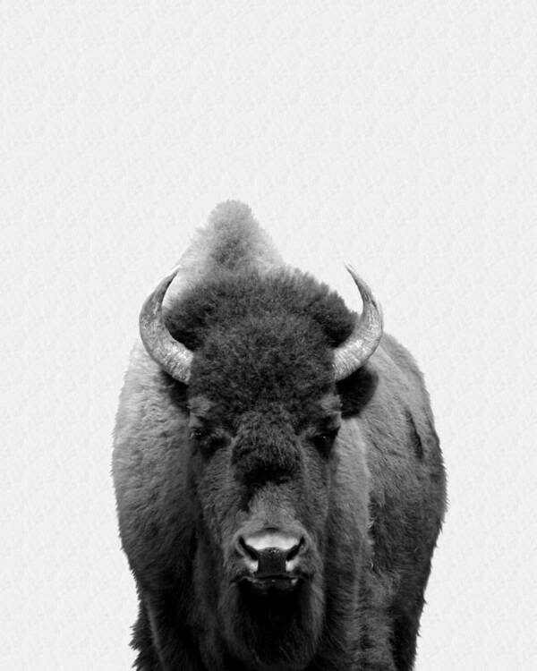 Buffalo Poster featuring the photograph Buffalo Photo 135 black and white by Lucie Dumas