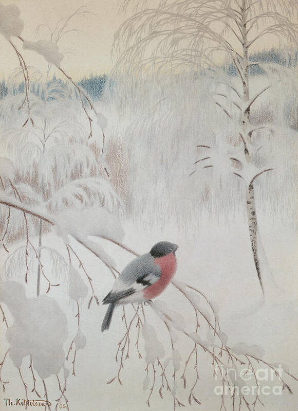 Theodor Kittelsen Poster featuring the drawing Bullfinch, 1906 by O Vaering by Theodor Kittelsen