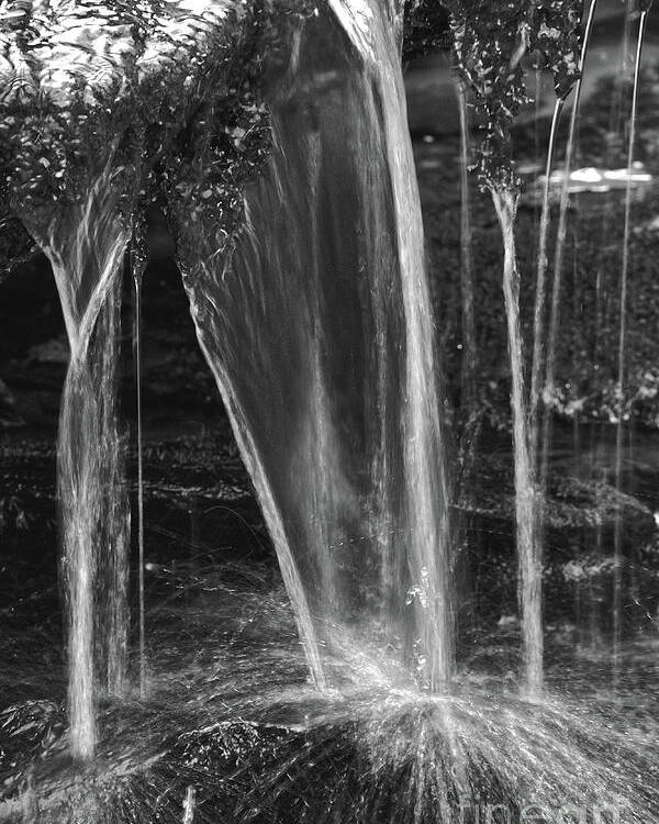 Falls Branch Falls Poster featuring the photograph Close Up Waterfall by Phil Perkins
