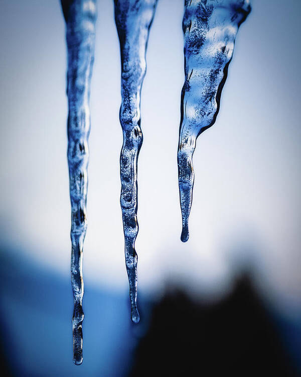 Frozen Poster featuring the photograph Cold as Ice by Rich Kovach