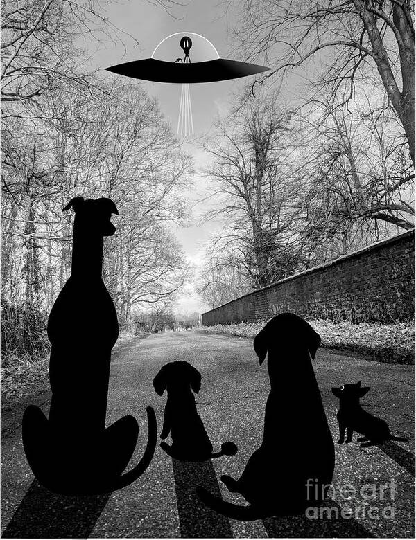 Dogs Poster featuring the digital art Dogs Spy Alien in Flying Saucer by Donna Mibus