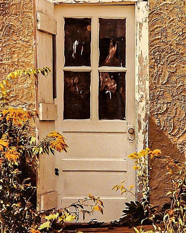 Door Yellow Wood Flower Poster featuring the photograph Door1 by John Linnemeyer