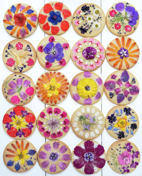 Edible Flowers Poster featuring the photograph Edible Flower Shortbread Biscuits Pattern by Tim Gainey