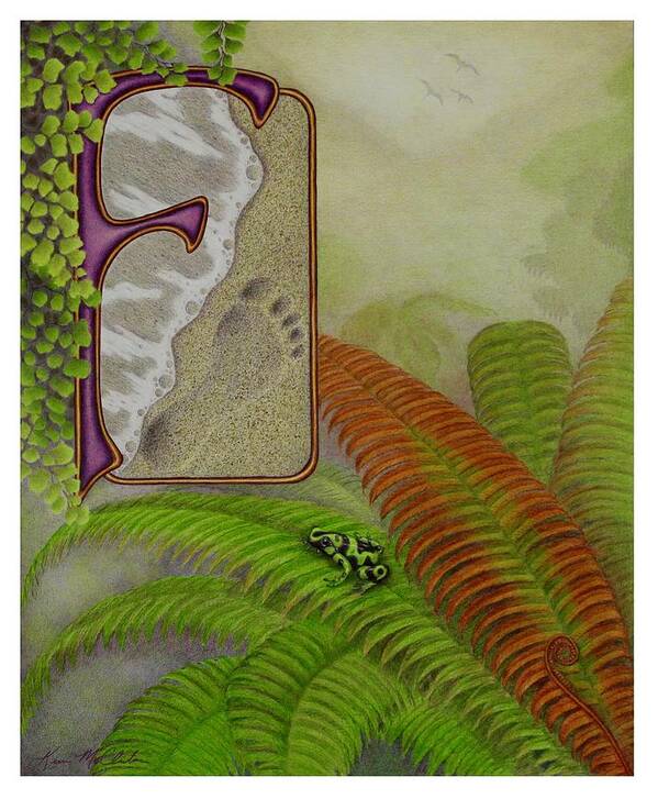 Kim Mcclinton Poster featuring the drawing F is for Fern by Kim McClinton