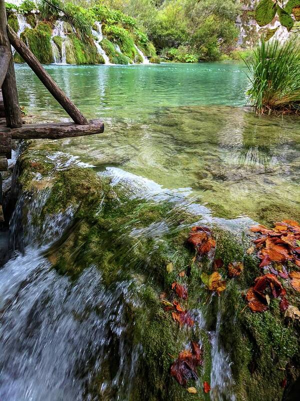 Plitvice Lakes Poster featuring the photograph Floating Away by Yvonne Jasinski