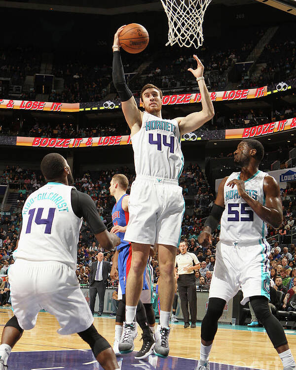 Nba Pro Basketball Poster featuring the photograph Frank Kaminsky by Brock Williams-smith