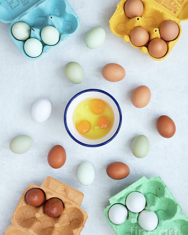 Eggs Poster featuring the photograph Free Range Eggs by Tim Gainey