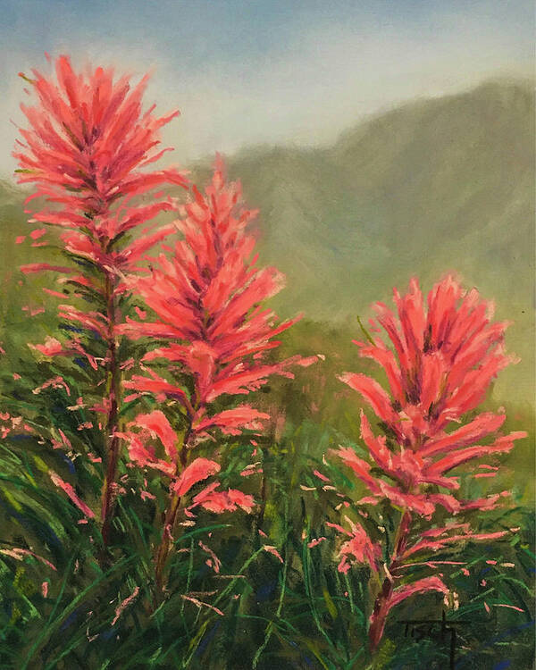 Flowers Wildflowers Poster featuring the pastel Glacier Paintbrush by Lee Tisch Bialczak