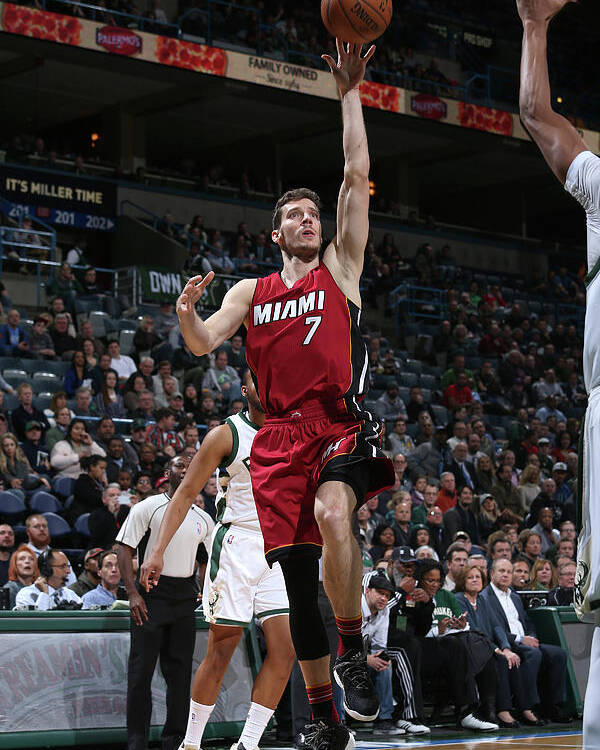 Nba Pro Basketball Poster featuring the photograph Goran Dragic by Gary Dineen