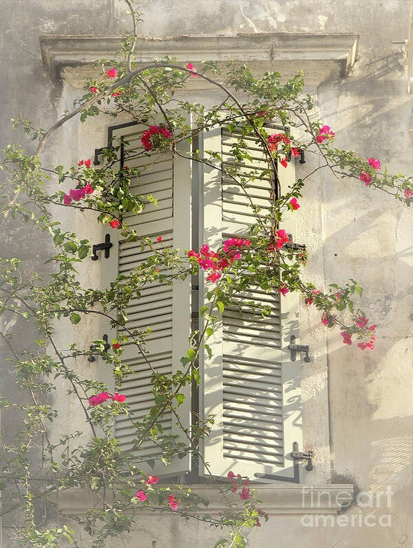 Home Sweet Window Shatters Flowers Soft Delicate Gentle Pleasing Impressionistic Impressions Impressionism Attractive Allure Atmospheric Uplifting Conceptual Charismatic Dreams Growing Flowering Peace Peaceful Tranquil Tranquility Restful Relaxing Relaxation Painterly Artistic Pastel Watercolor Art Old Smart Thought Provoking Thoughtful Haven House Poetic Magical Sunny Day Afternoon Foggy Misty Touching Life-style Half-opened Greece Corfu Greek Inspirational Spiritual Lightness Sun Highlights Poster featuring the photograph Home Sweet Home,warm Andtender by Tatiana Bogracheva