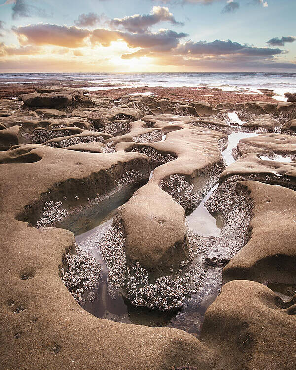 Beautiful Poster featuring the photograph Hospitals Reef La Jolla by Gary Geddes