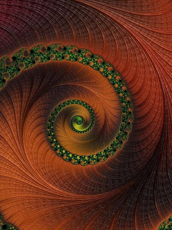 Fractal Poster featuring the digital art Infinity #8 by Mary Ann Benoit