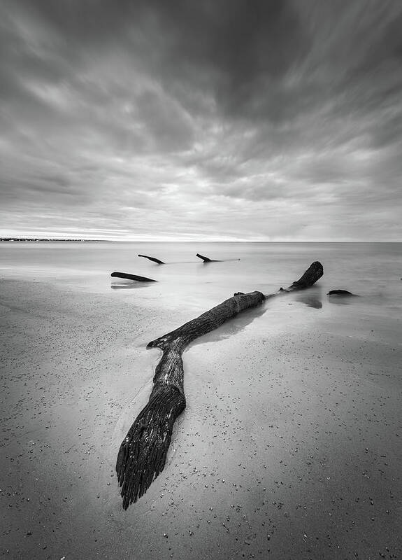 Driftwood Beach Poster featuring the photograph Jekyll Island Driftwood In Black And White by Jordan Hill