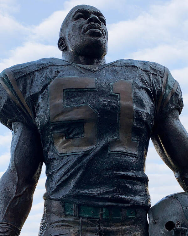 Sam Mills Poster featuring the photograph Keep Pounding by Lee Darnell