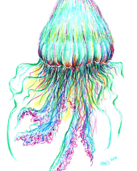 Jellyfish Poster featuring the painting Key West Jellyfish Study 2 by Shelly Tschupp