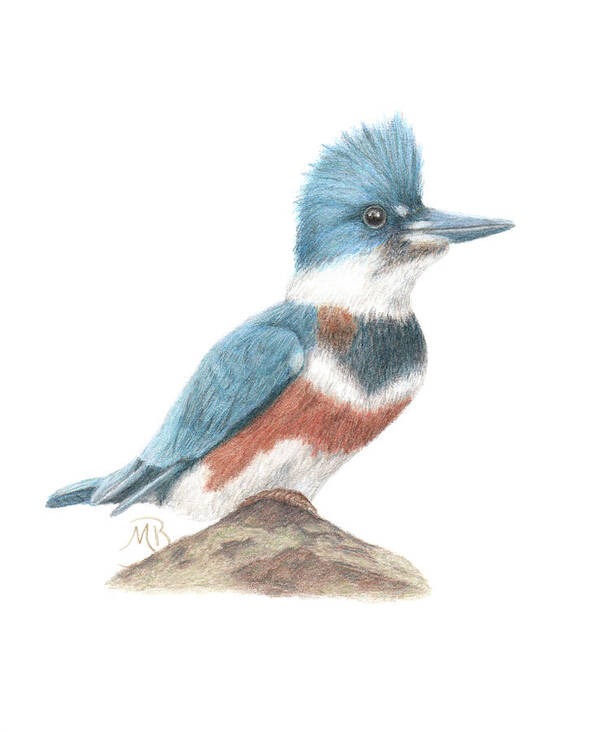 Bird Art Poster featuring the painting Kingfisher by Monica Burnette