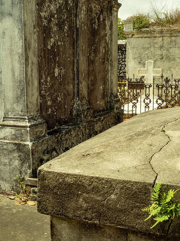 New Orleans Poster featuring the photograph Lafayette Cemetery, New Orleans by Leslie Struxness
