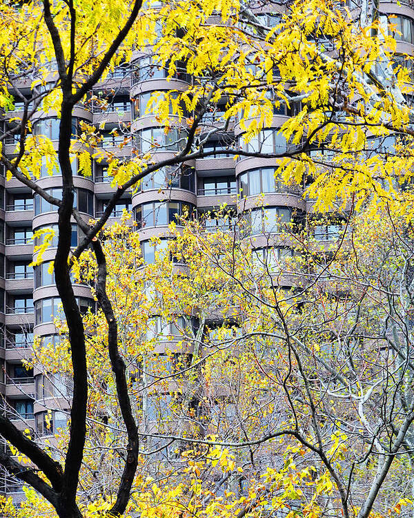 Nature Poster featuring the photograph Late Autumn - A Murray Hill Impression by Steve Ember