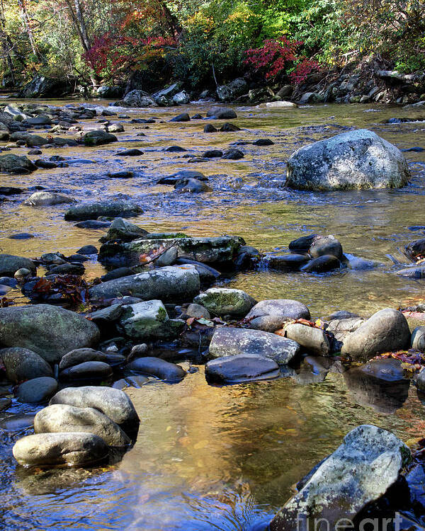 Cascades Poster featuring the photograph Little River In Autumn 2 by Phil Perkins