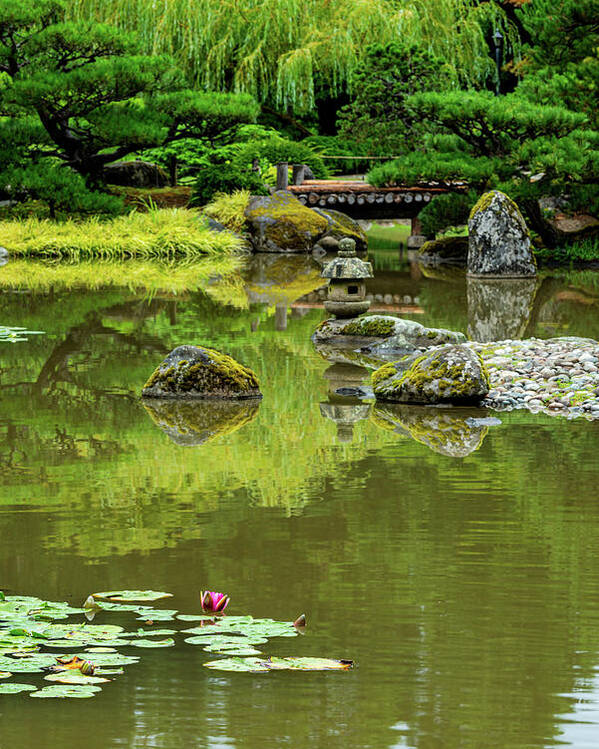 Outdoor; Summer; Japanese Garden; Seattle; City; Park; Water Lilies; Lotus; Pond; Poster featuring the digital art Lotus in Japanese Garden by Michael Lee