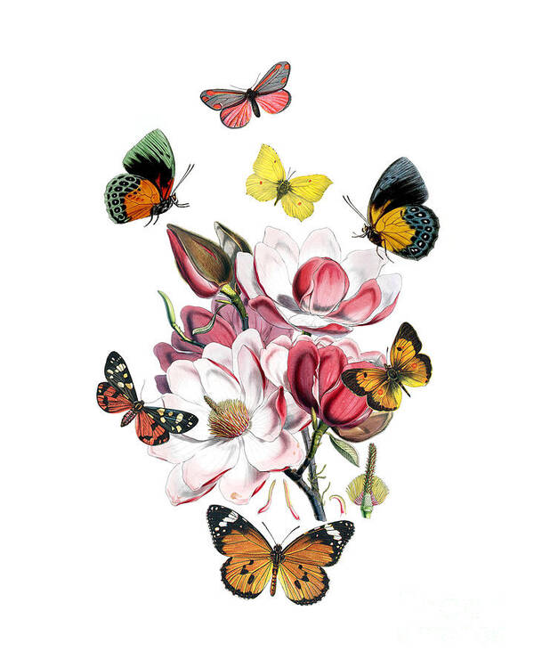 Magnolia Poster featuring the digital art Magnolia with butterflies by Madame Memento
