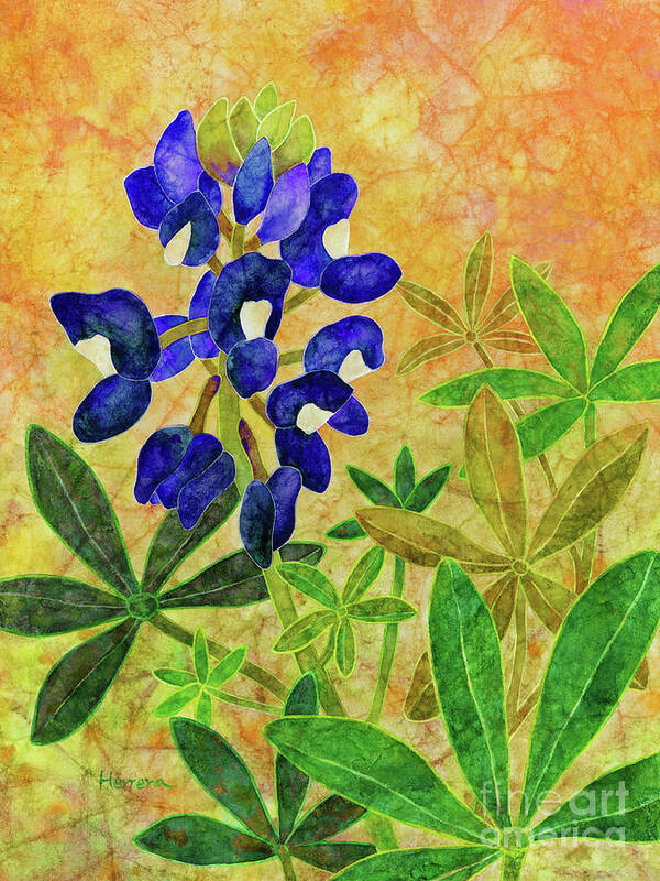 Bluebonnet Poster featuring the painting Maroon Bluebonnet-Blue by Hailey E Herrera