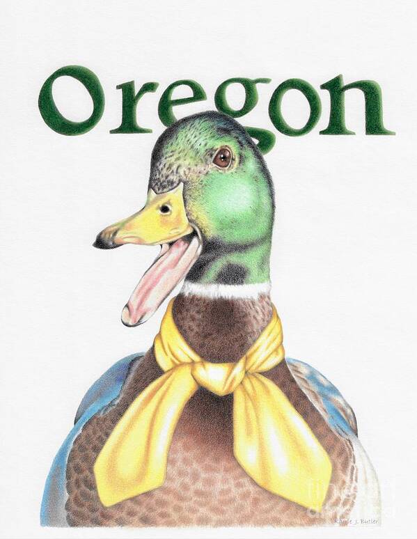 Oregon Poster featuring the drawing Oregon Duck by Karrie J Butler