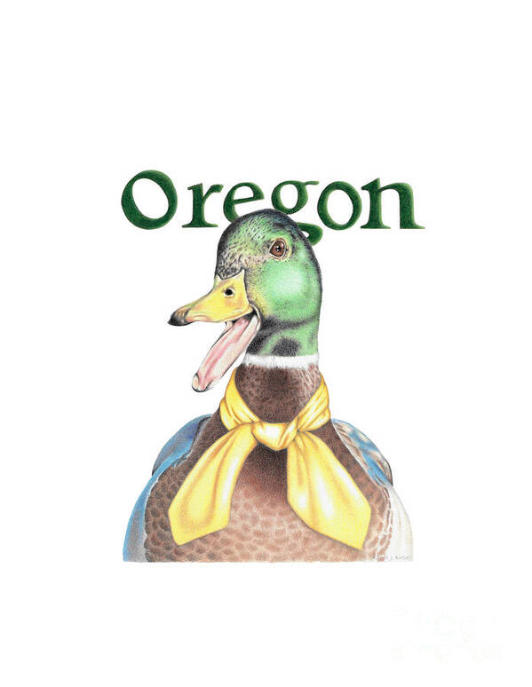 Oregon Poster featuring the drawing Oregon Duck with Transparent Background by Karrie J Butler