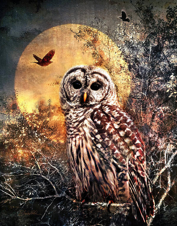 Photography Poster featuring the photograph Owl in Moonlight by Shara Abel