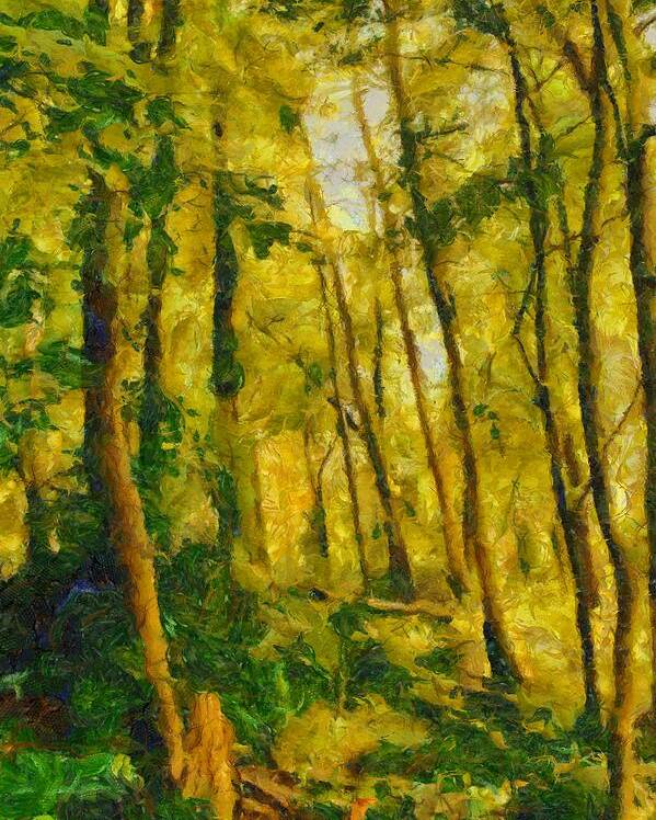 Woods Poster featuring the mixed media Pennsylvania Woods by Christopher Reed
