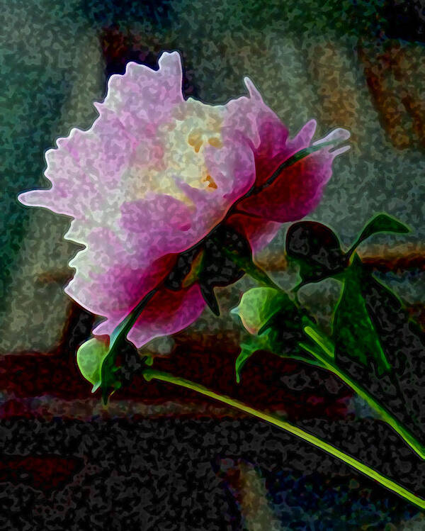 Flower Poster featuring the digital art Queen Peony by Vallee Johnson