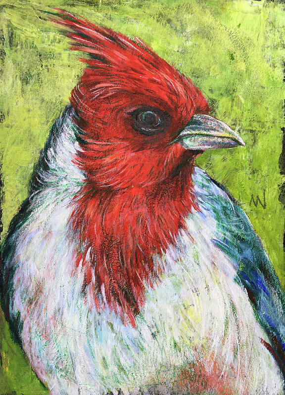 Cardinal Poster featuring the mixed media Red Head by AnneMarie Welsh