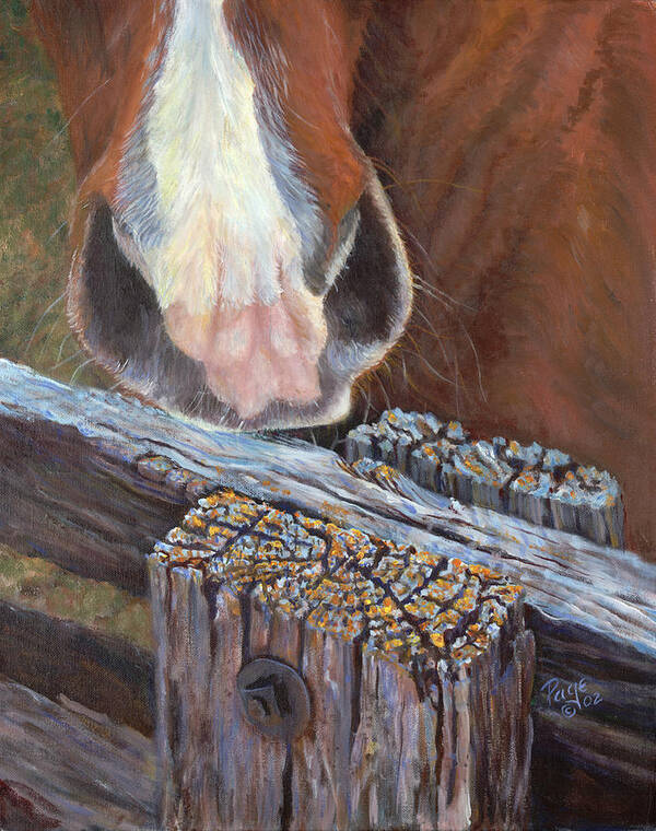 Horse Poster featuring the painting Rhoda Knows by Page Holland