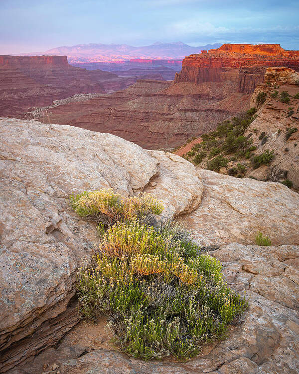 Utah Poster featuring the photograph Shafer Canyon Overlook by Whit Richardson