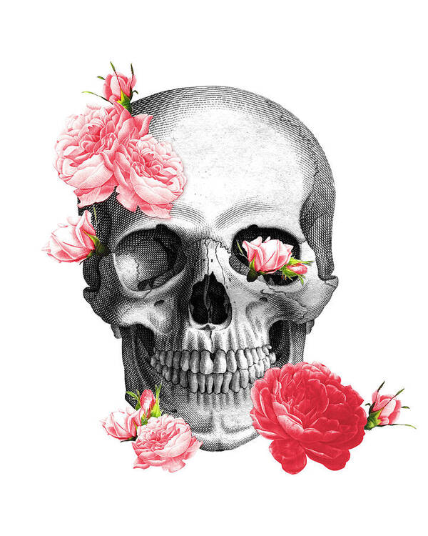 Skull Poster featuring the digital art Skull with pink roses framed art print by Madame Memento