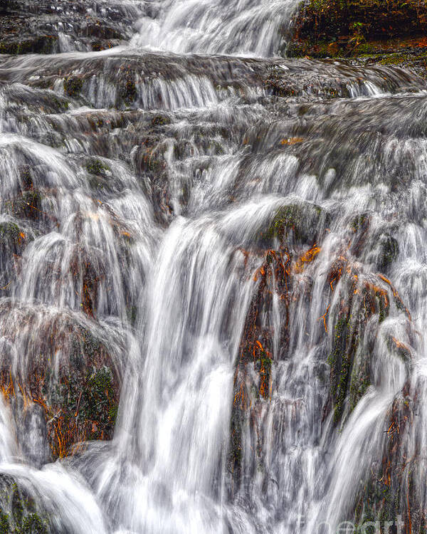 Waterfalls Poster featuring the photograph Small Waterfalls 3 by Phil Perkins