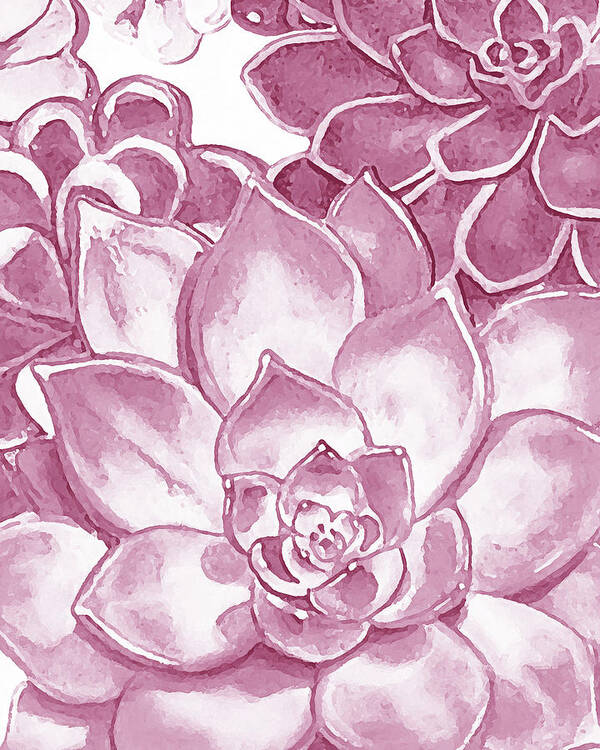 Succulent Poster featuring the painting Soft Pink Succulent Plants Garden Watercolor Interior Art VI by Irina Sztukowski