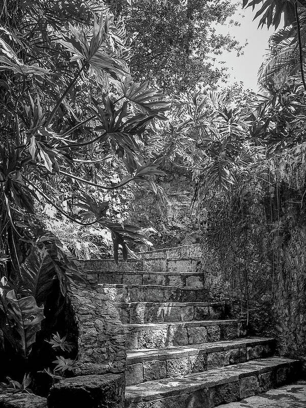 Chichen Itza Poster featuring the photograph Steps Near Cenote Chichen Itza by Frank Mari