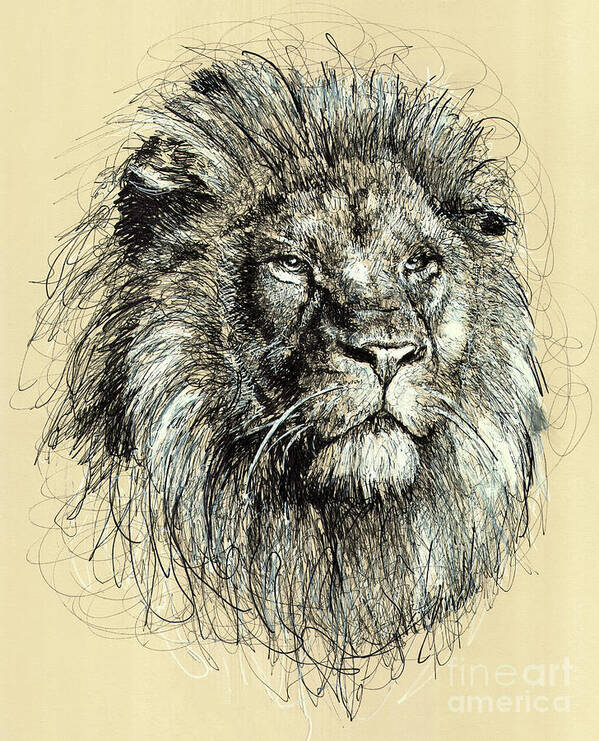 Lion, Drawing by Cannelle Robert | Artmajeur