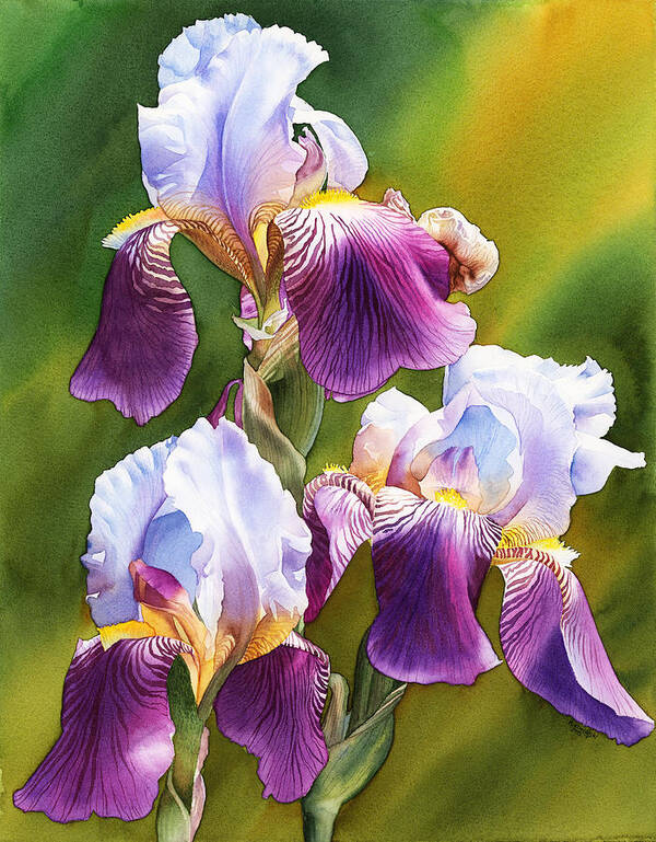 Iris Poster featuring the painting Sunny Irises by Espero Art