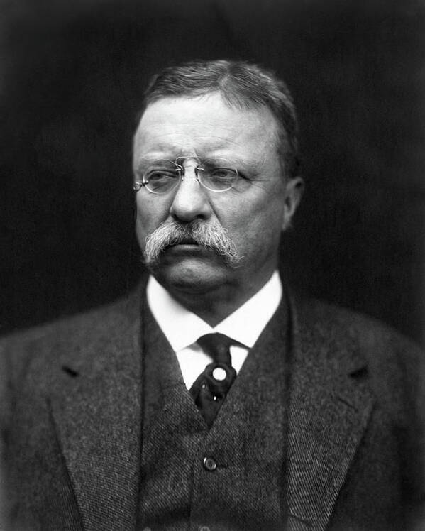 Theodore Roosevelt Poster featuring the photograph Teddy Roosevelt by War Is Hell Store