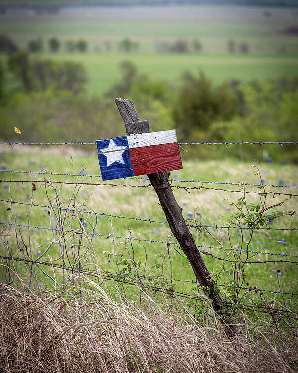 Texas Poster featuring the photograph Texas Country by Deon Grandon
