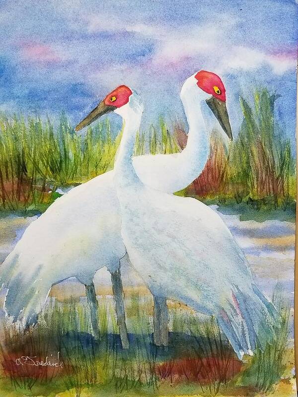 Sandhill Cranes Poster featuring the painting The Locals by Ann Frederick