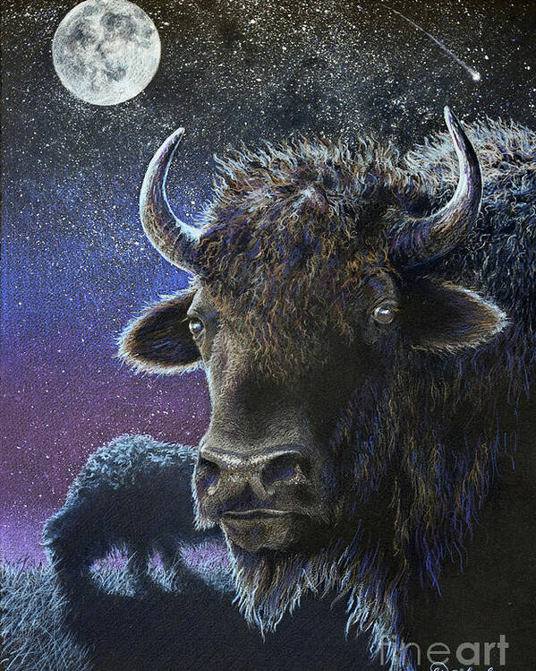 Bison Poster featuring the drawing the Nightwatch by Jill Westbrook