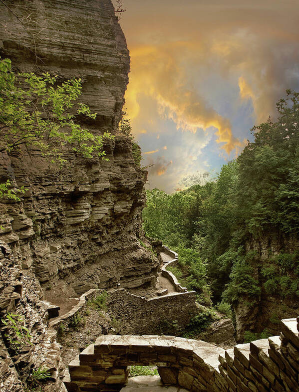 Nature Poster featuring the photograph The Winding Trail by Jessica Jenney