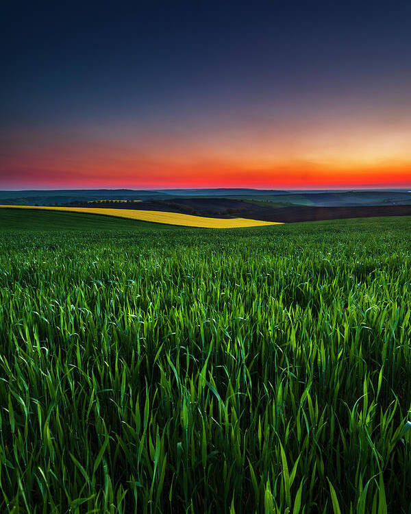 Dusk Poster featuring the photograph Twilight Fields by Evgeni Dinev