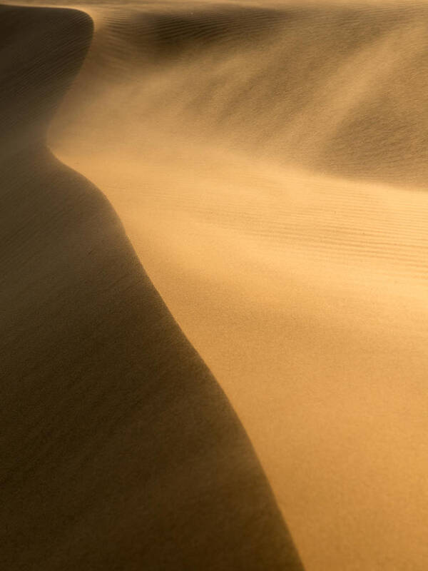 Sand Dune Poster featuring the photograph Windy Sand Dune by Peter Boehringer