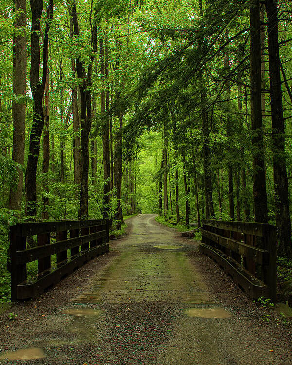 Great Smoky Mountains National Park Poster featuring the photograph Wooded Path by Melissa Southern