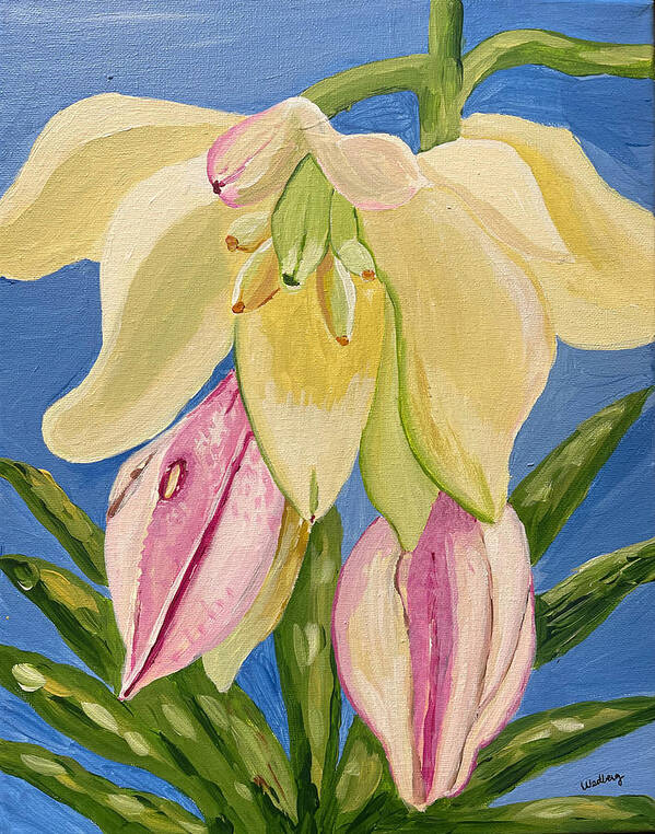 Yucca Poster featuring the painting Yucca Flower by Christina Wedberg
