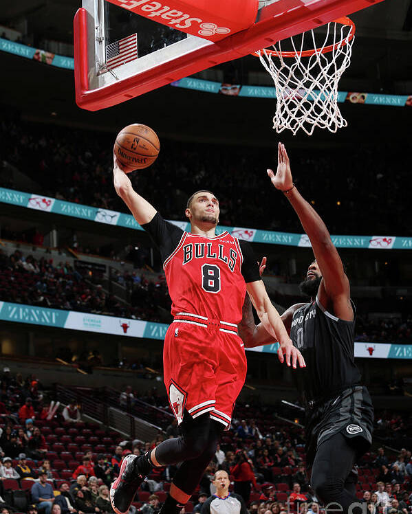 Chicago Bulls Poster featuring the photograph Zach Lavine by Gary Dineen